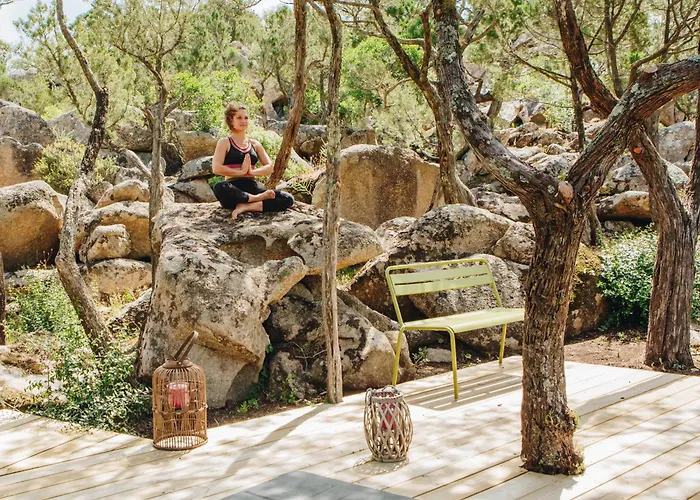 Hôtel accueillant les animaux: Résidence Les Terrasses de Rondinara