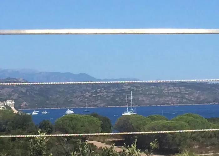Animaux admis s Pure Mare Bonifacio